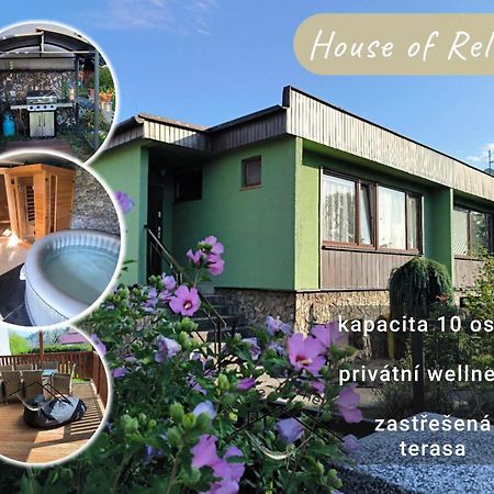 הוילה Recany nad Labem House Of Relax מראה חיצוני תמונה